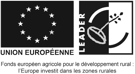 Union Européenne logo